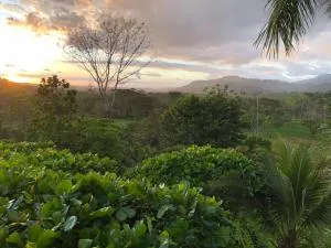 Beautiful estate in quiet surroundings close to beach - Naranjito