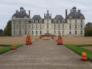 Maisons de vacances Gite Le Cerf Solognot proche chateau Chambord, Lamotte Beuvron : photos des chambres