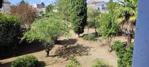 B&B / Chambres d'hotes Les Terrasses d'Angouleme : Chambre Familiale - Vue sur Jardin