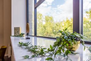 The Arc - Stunning Luxury 2 Bed Duplex Apartment