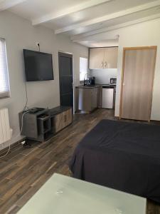 Appartements Jolie Studio spacieux : Appartement 1 Chambre