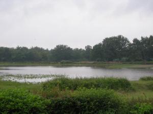 Gîte en Berry au cœur du Parc Naturel avec jardin et parking, 3 chambres, cheminée - FR-1-591-157