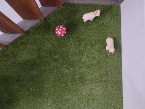 Encanto. Céntrico tríplex cerca de la Corredera y casco antiguo.