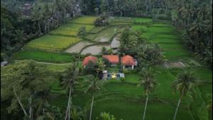 Uma Mupu Retreat