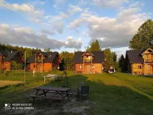 EkoZagroda Goreń Duży - 戈斯蒂宁