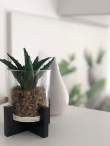 Fewo Kuferzeile Gmunden seenähe