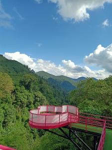 hai trái tim hồng