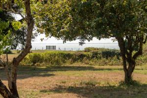 Maisons de vacances Maison familiale avec vue sur mer : photos des chambres