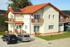 Pensiunea HERA Hațeg - Toteşti