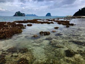 Koh Ngai Sea Open Resort