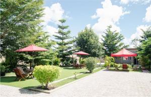 Kasbek Lodge & Tours