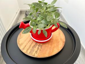 3 rooms apartment Airy & Bright Palas Style