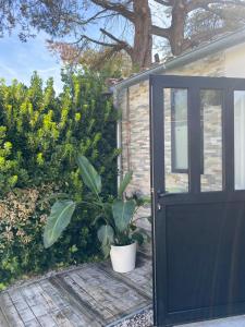 Sejours chez l'habitant Adorable chambre vue sur piscine : photos des chambres