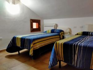 Tamarici Sun New2022 img10