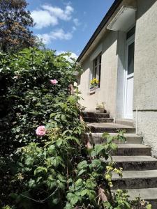 Maisons de vacances Maison de village en bord de riviere : photos des chambres