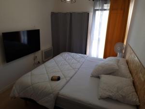 Appartements Appartement nouveaux quartier Bologne a deux pas de Mosson, WiFi, climatisation et parking gratuit : photos des chambres