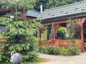 Agropensiunea Valea Fagilor