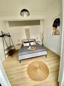 Appartements Le Cocon Briochin, grand appartement en plein centre de SaintBrieuc : photos des chambres