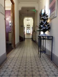 Hotels Hotel Beausoleil : photos des chambres