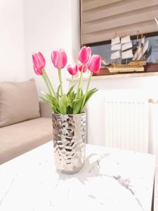 Apartament Morski Brzeg Gdynia Centrum