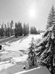 Noclegi nad potokiem