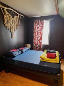 Chill Shack - Auberge Jeunesse