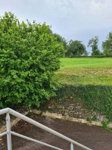 Appartements Gite de la Gourgeonne : photos des chambres