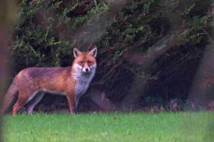 Spacious Contemporary Chalet type Apartment.