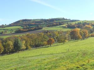 Maisons de vacances Gite Saint-Just-pres-Brioude, 5 pieces, 7 personnes - FR-1-582-314 : photos des chambres