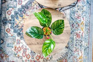 Stylish 2 bed flat in Basingstoke By 20Property Stays Short Lets & Serviced Accommodation