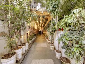 Lime Stays B&B GK-2 at Greater Kailash Metro South Delhi nearby SaketCity