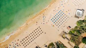 Luxurious BEACHFRONT VILLA de la PLAGE with private beach acces