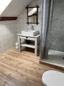 Appartements Les 4 flocons, avec piscine exterieure chauffee a 100m du lac et du centre , wifi, parking, sauna : photos des chambres