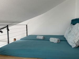 Appartements Appart & Fleurinoise balcon ascenseur climatisation : photos des chambres