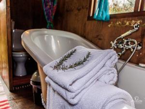 Gypsy Wagons and Vans, Clarens