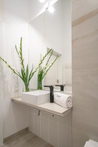 AbsyntApartments 24 Rynek Wrocław