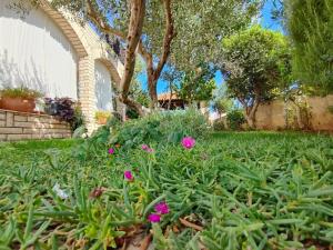 Apartments Snježana Carev