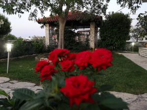 Apartments Snježana Carev