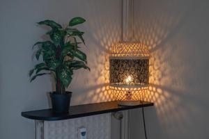 Appartements super studio : photos des chambres