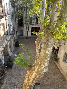 La charmante du Palais 2 chambres