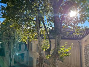 La charmante du Palais 2 chambres