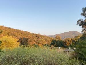 Maisons d'hotes Les Lodges de la Plage U Dragulinu : photos des chambres