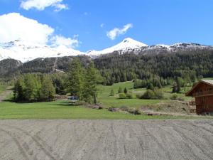 Appartements Appartement spacieux pour 6 a Lanslevillard, au pied des pistes avec balcon et parking - FR-1-508-46 : photos des chambres