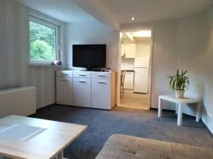 Wohnung im Grünen in Olsberg - 安德勒阿斯贝格