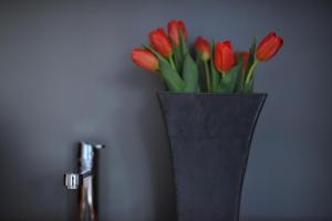 Sopot Special Apartments