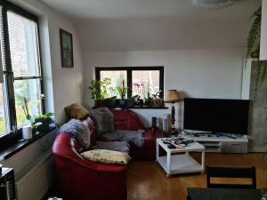 Uroczy apartament z tarasem i widokiem na ogród