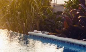 Sol Pacifico Lodge
