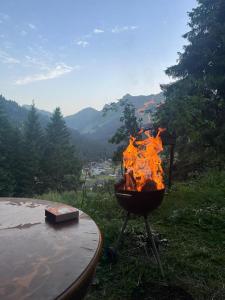 Appartement - dans le chalet Carmazin