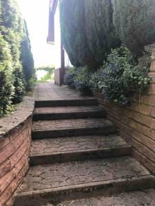 Apartma Sonček - House in the vineyard