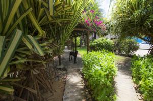 Bambuddha Centro Holistico